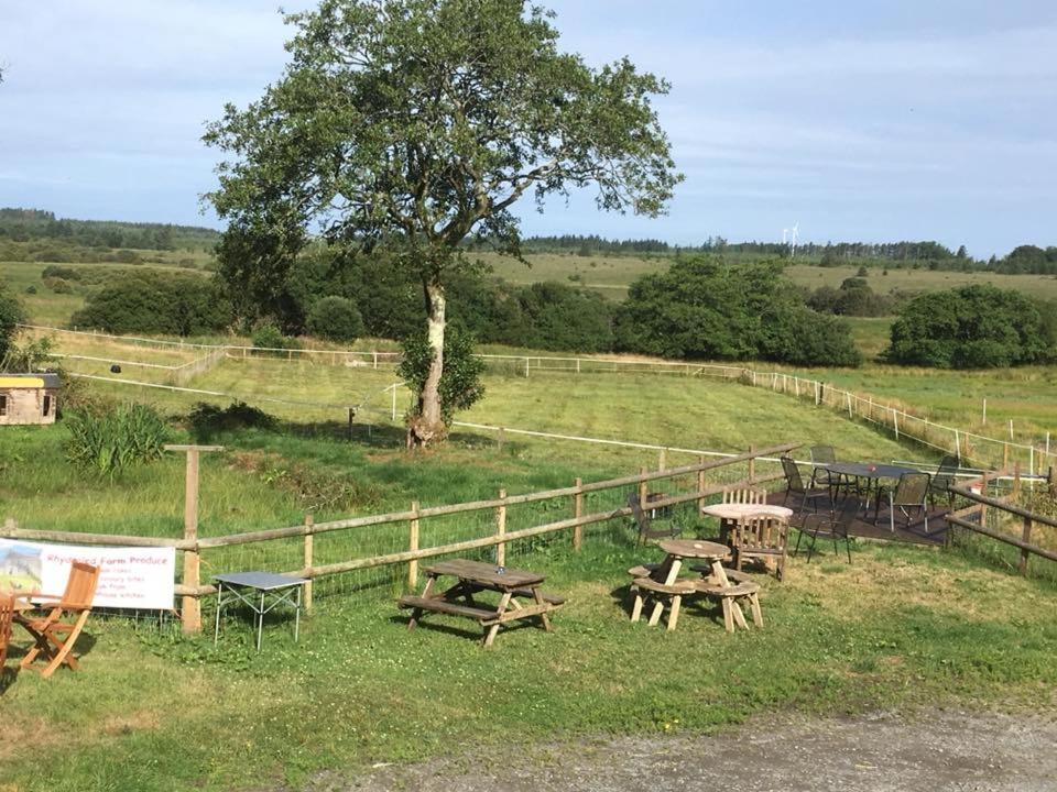 Rhydgaled Villa Llanon Exteriör bild